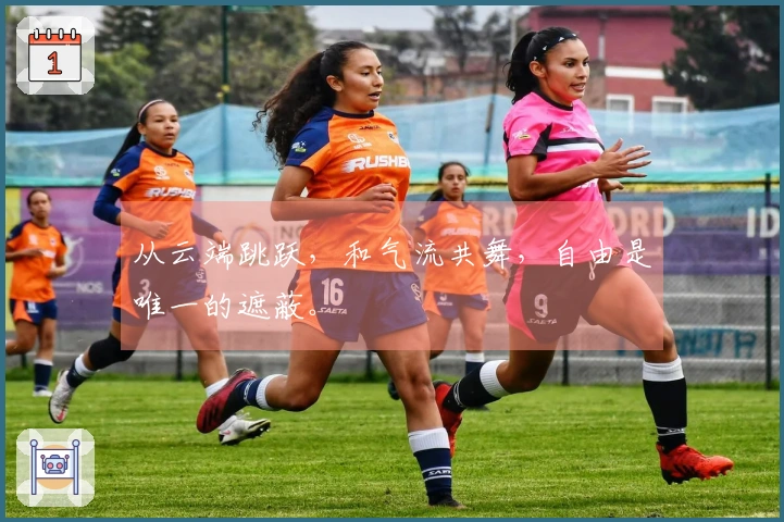 从云端跳跃，和气流共舞，自由是唯一的遮蔽。