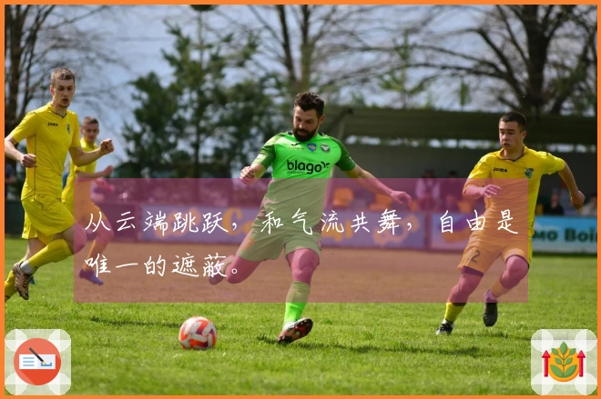 从云端跳跃，和气流共舞，自由是唯一的遮蔽。